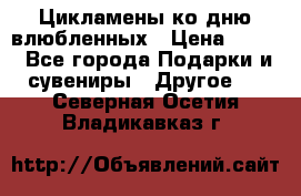 Цикламены ко дню влюбленных › Цена ­ 180 - Все города Подарки и сувениры » Другое   . Северная Осетия,Владикавказ г.